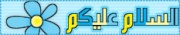 Игры Онлайн: Учим Арабский язык. Арабский алфавит. 704684